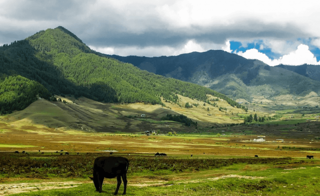 Phobjikha Valley in Bhutan