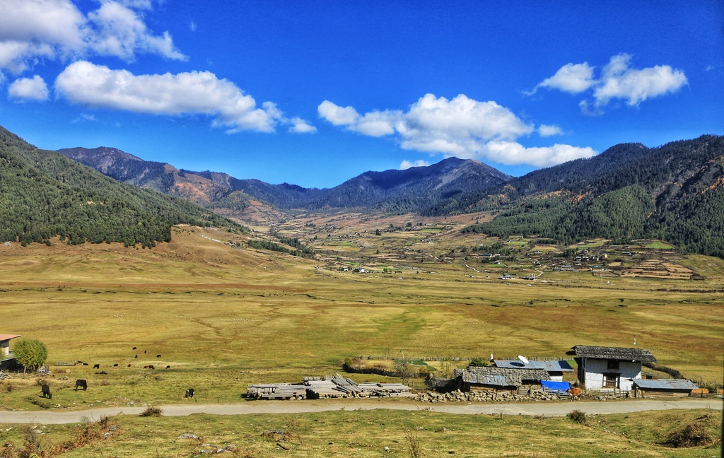 cultural building bhutan