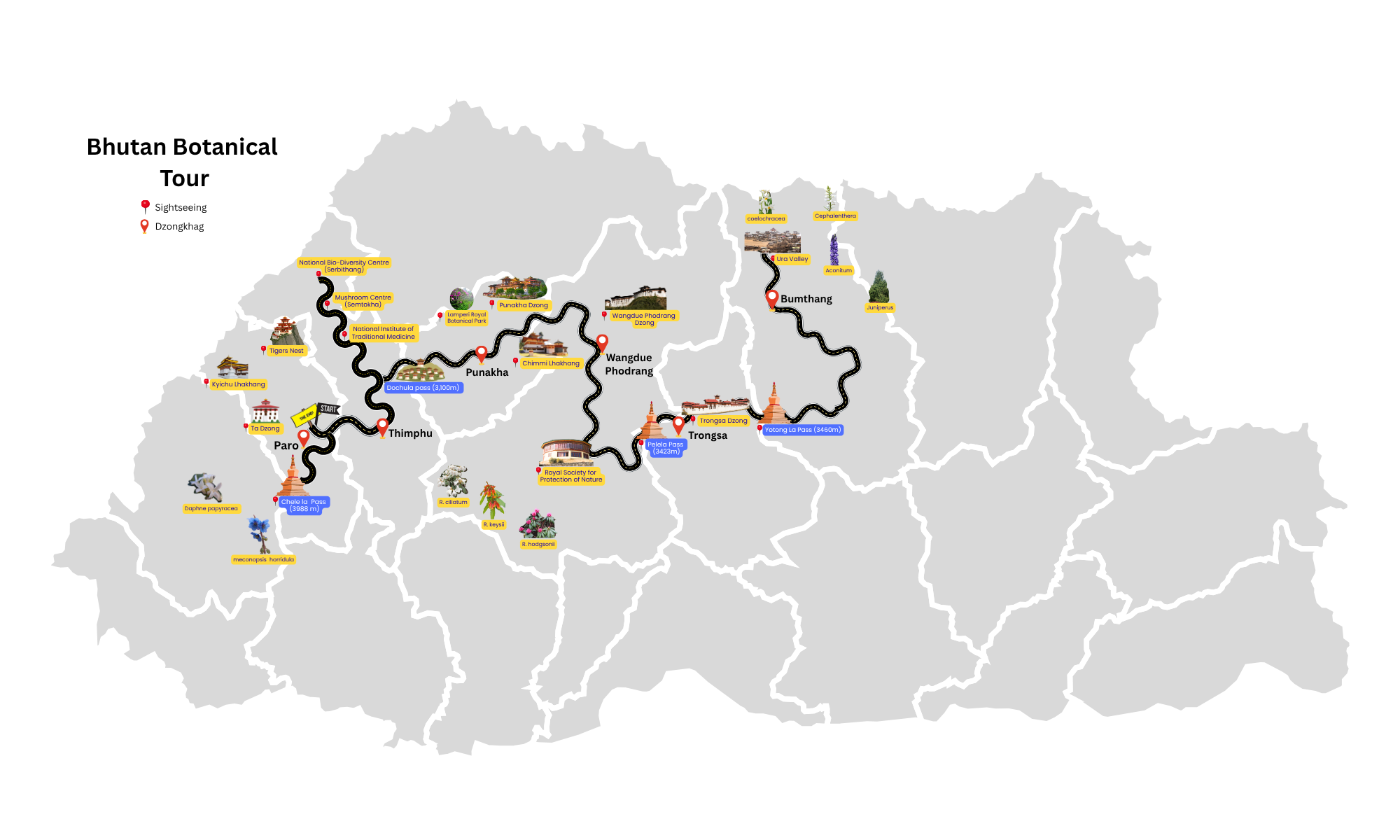 Bhutan Botanical Tour map