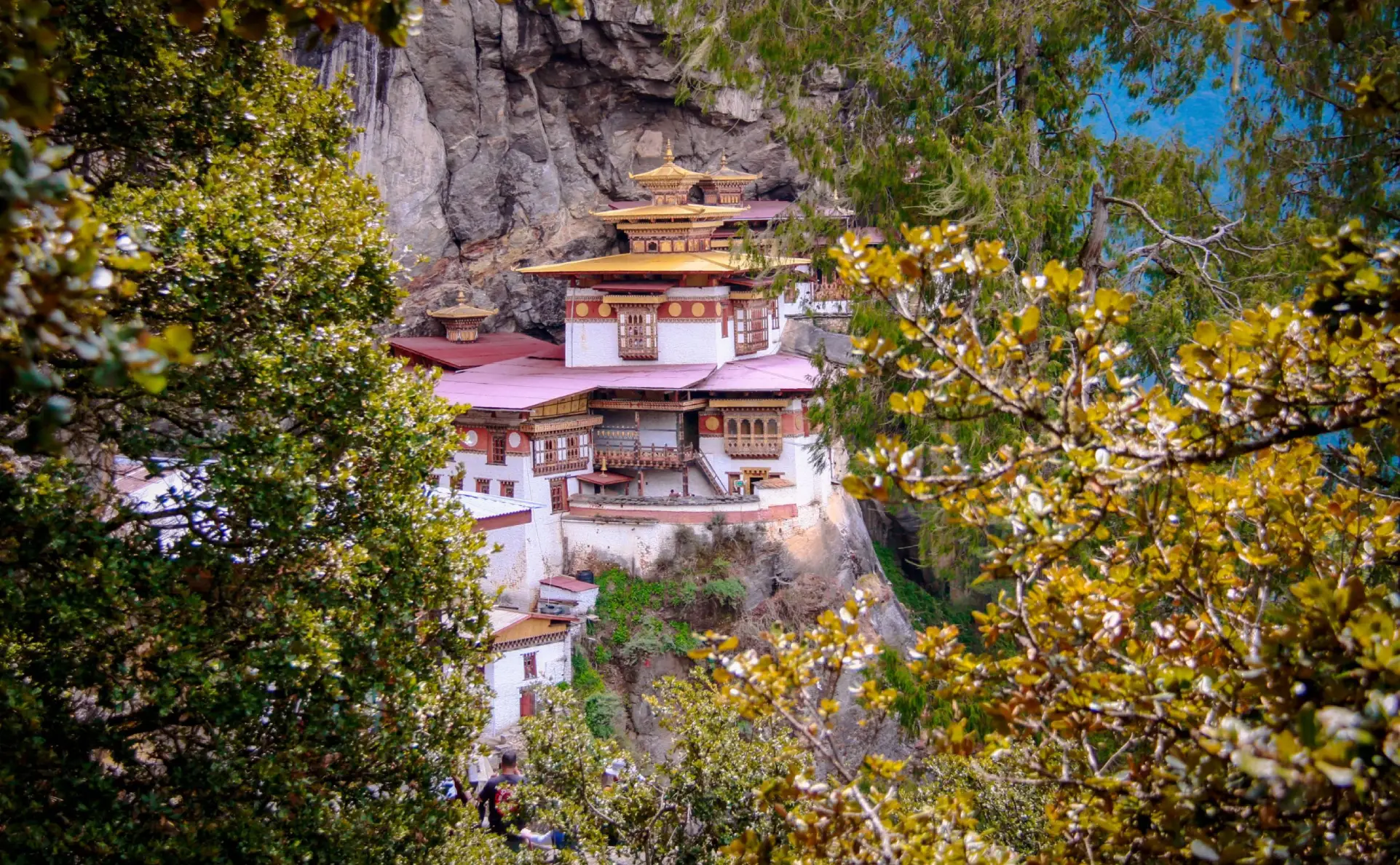 Top things to do in Bhutan which you must not miss