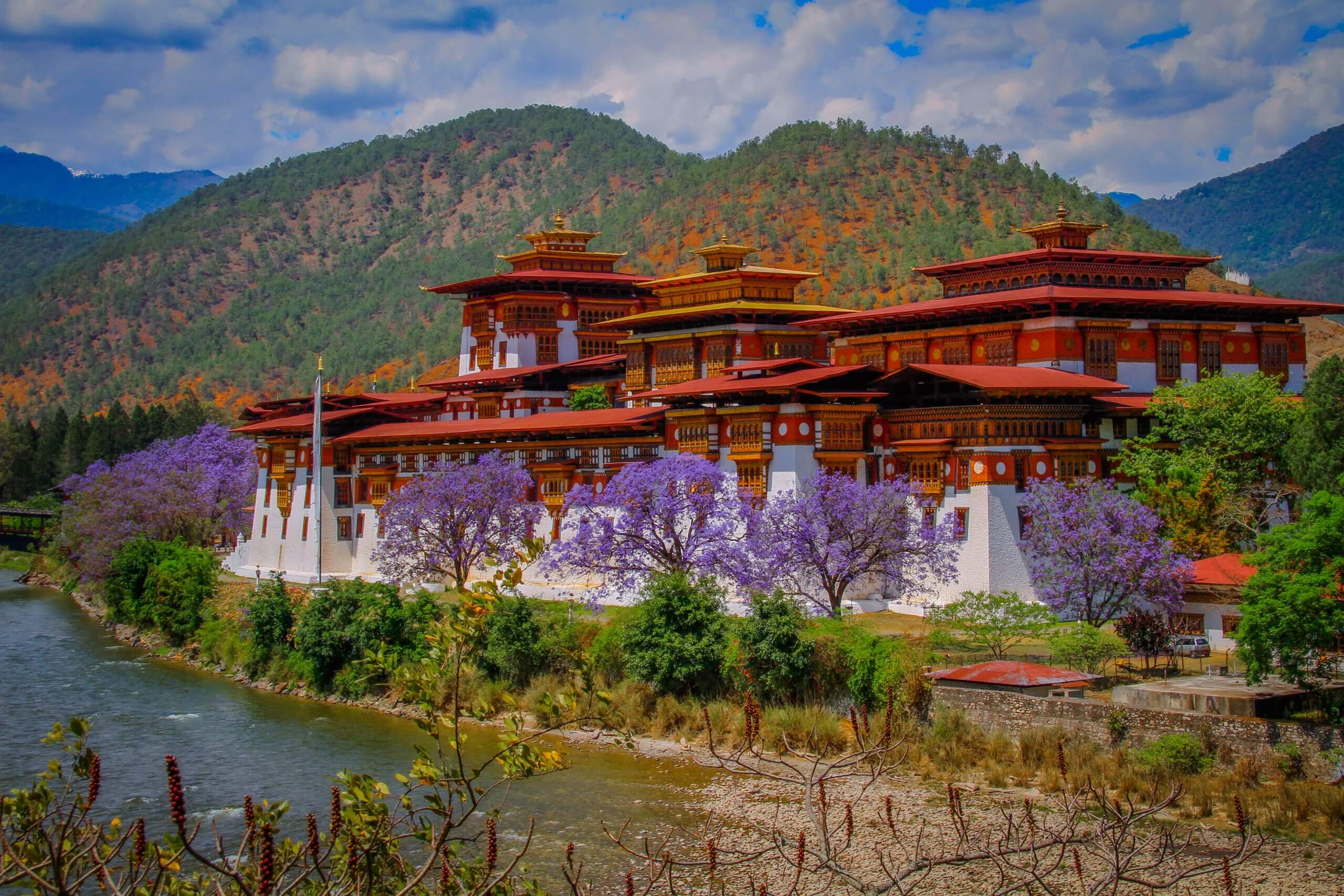 An In-Depth Journey with Happiness Kingdom Travels