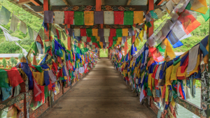 Thimphu Tshechu