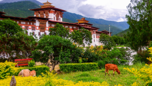 Punakha Tshechu
