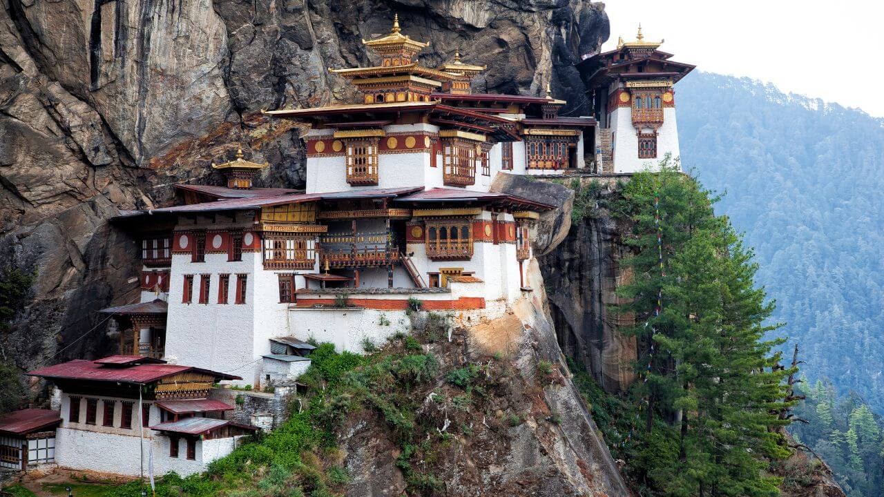 forest road bhutan