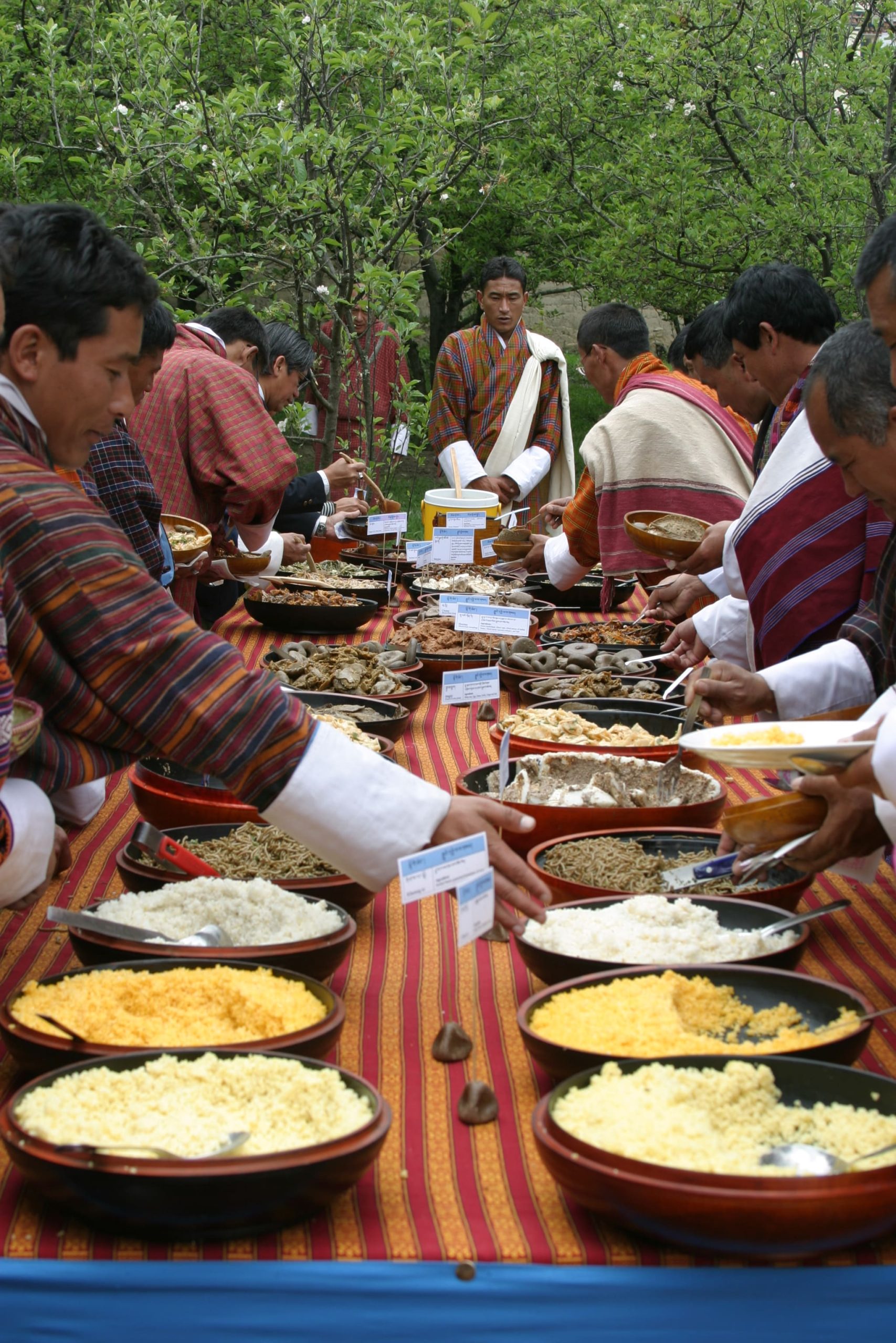 Discover the Magic of Bhutan: A 7-Day Journey