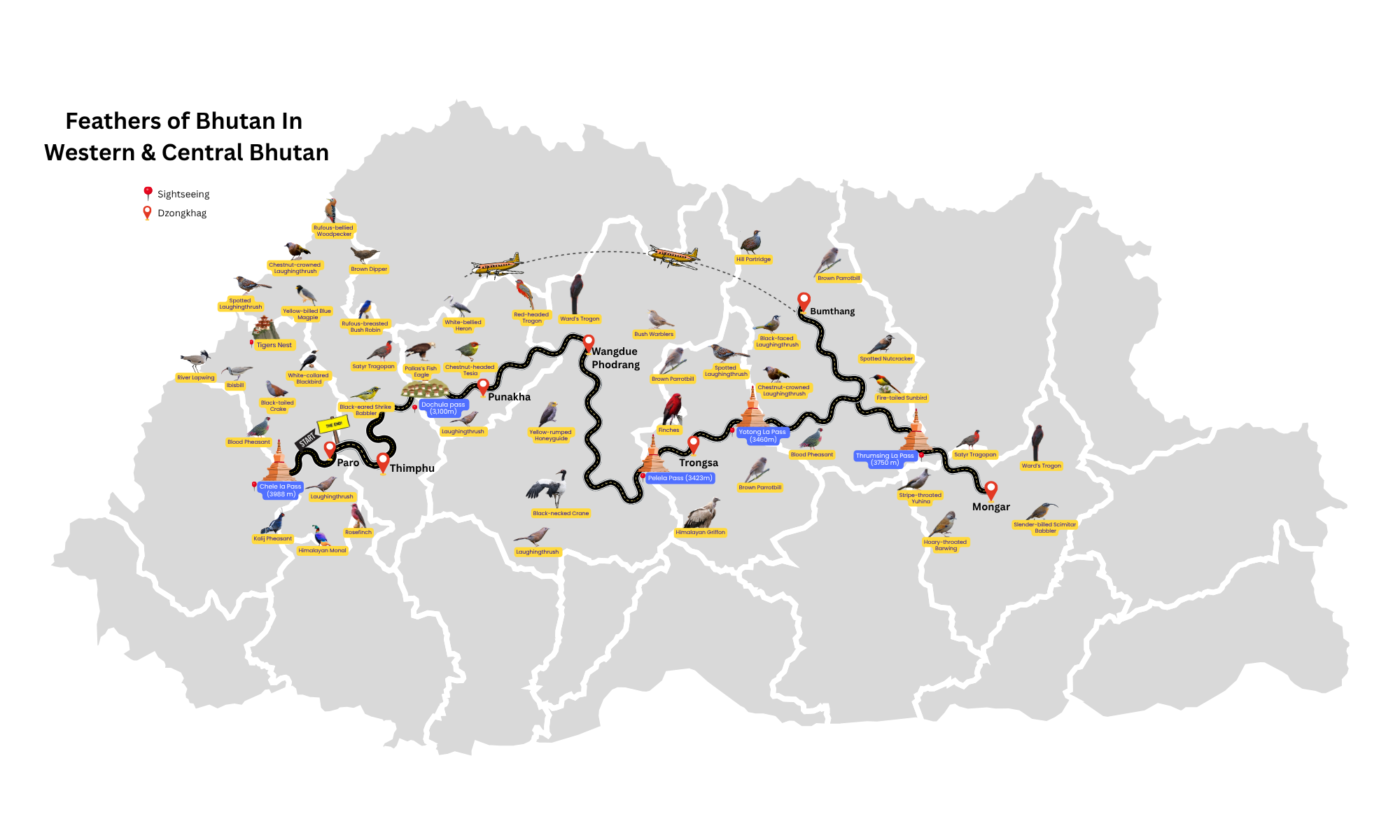 Bhutan Feathers Map