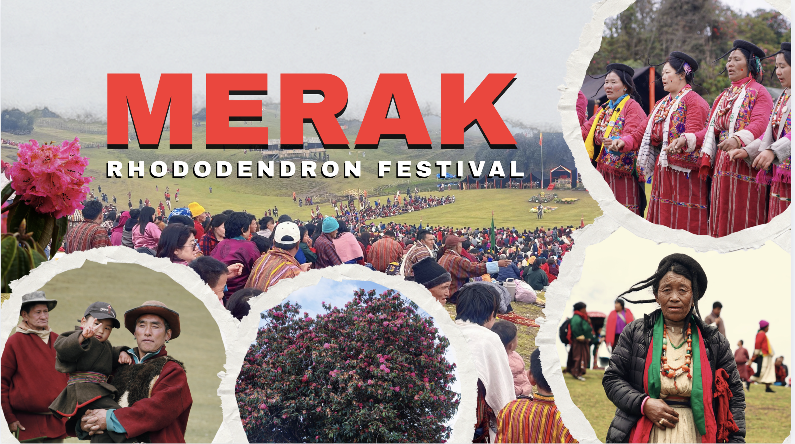 Discover Merak: The Paradise of Rhododendron in Bhutan